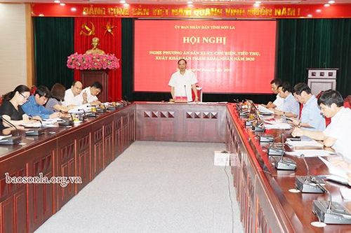 Triển khai phương án sản xuất, chế biến, tiêu thụ, xuất khẩu sản phẩm xoài, nhãn năm 2020