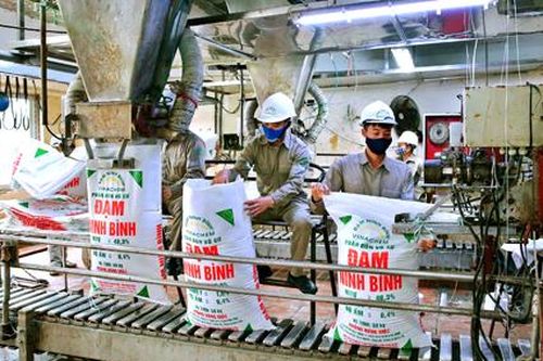 Năm 2019 Đạm Ninh Bình tăng trưởng gấp 1,4 lần năm 2018