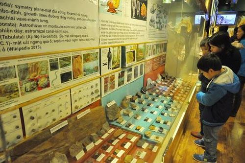 Hà Nội phê duyệt nhiệm vụ quy hoạch Bảo tàng Thiên nhiên Việt Nam rộng hơn 38ha