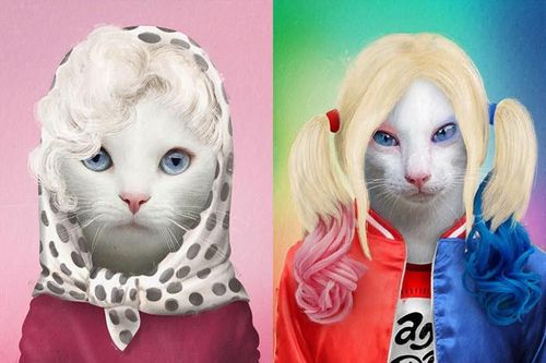 Màn cosplay các huyền thoại của 'boss' khiến các 'sen' tranh nhau thả yêu thương