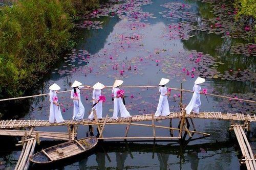 Khoảnh khắc đẹp nhất mùa Xuân năm 2020 gọi tên nhiếp ảnh gia Việt Nam