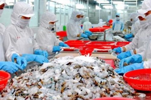 VASEP đề xuất điều chỉnh mức đánh giá rủi ro tín dụng cao đối với nhóm ngành hàng thủy sản