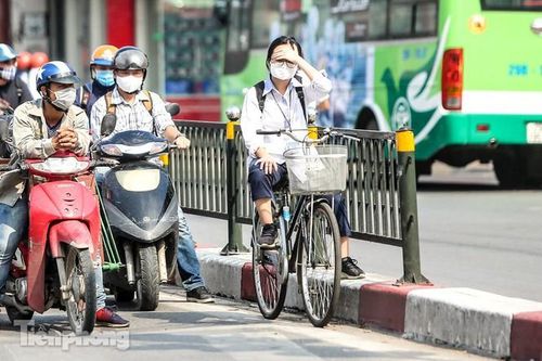 Thời tiết 7 ngày tới trên cả nước ra sao?