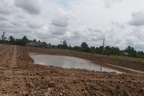 Bến Tre: Gia đình cán bộ huyện tự ý đào ao bơm nước mặn vào vùng ngọt