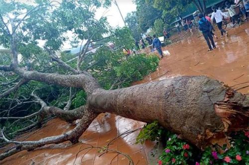 Giông lốc làm tốc mái 8 nhà dân