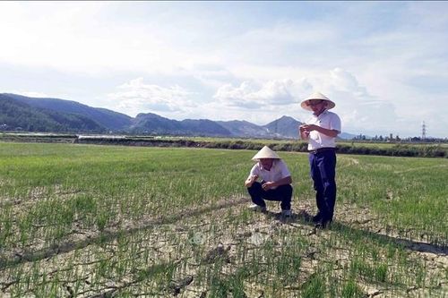 Nguy cơ hạn hán, thiếu nước ở Trung Bộ