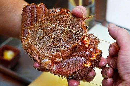 Đầu bếp Nhật sơ chế loài cua mình đầy lông