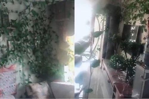 2 tháng về quê tránh dịch, chàng sinh viên sững sờ khi mở cửa phòng trọ