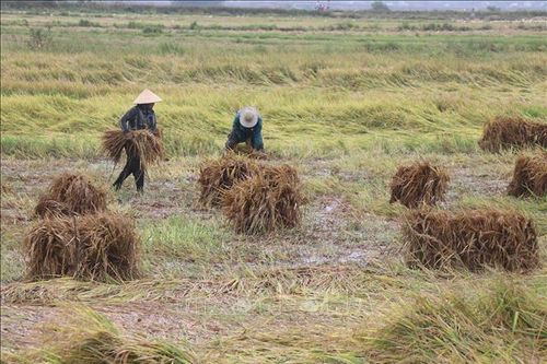 Từ ngày 11 - 12/5, mưa giông mở rộng xuống các tỉnh Bắc Trung Bộ