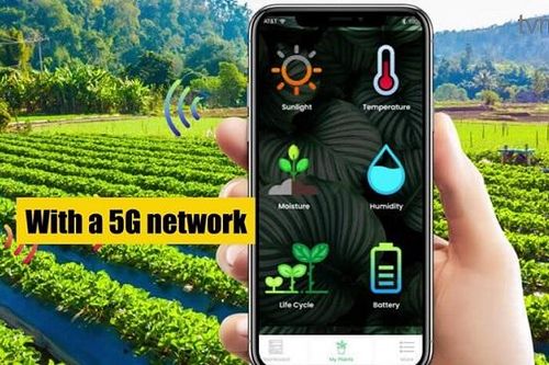 7 đột phá của công nghệ 5G sẽ thay đổi nông nghiệp toàn cầu
