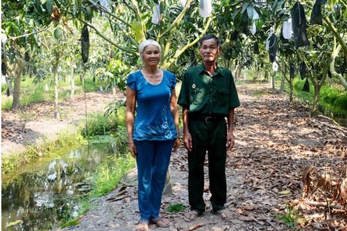 An Giang: Mô hình trồng rừng kết hợp làm vườn và chăn nuôi mang lại hiệu quả kinh tế cao