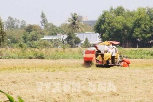 Xu thế xâm nhập mặn ở Đồng bằng sông Cửu Long tuần tới liệu có giảm?