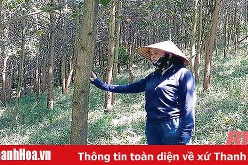 Phong trào phụ nữ giúp nhau phát triển kinh tế ở Cẩm Thủy