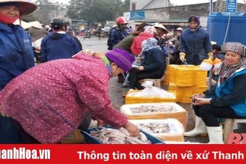 Tập trung xóa bỏ các chợ tự phát, các tụ điểm kinh doanh, buôn bán lấn chiếm lòng, lề đường, vỉa hè