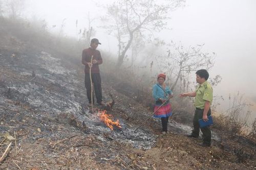 Tăng cường xử lý vi phạm pháp luật về lâm nghiệp