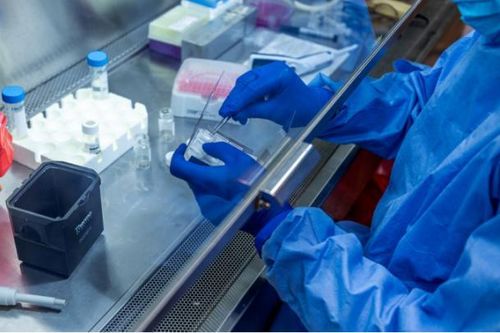 Cập nhật dịch Covid-19 tối 11/5: Hơn 4.2 triệu người trên toàn cầu mắc bệnh
