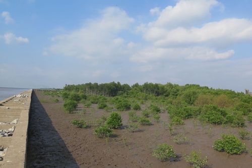 EU hỗ trợ Việt Nam tăng cường khả năng chống chịu và quản lý nước, tài nguyên thiên nhiên