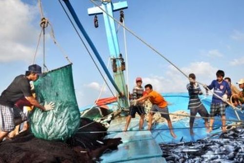 Việc Trung Quốc tạm ngừng đánh cá không có giá trị trên vùng biển Việt Nam