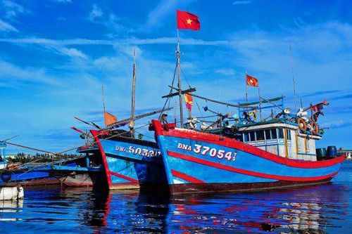 Trung Quốc cấm biển phi lý, ngư dân Việt cần đánh bắt theo tổ đội hỗ trợ nhau