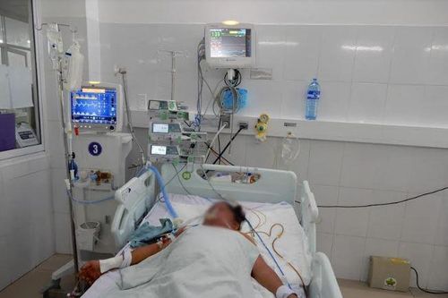 Ba nạn nhân ở Quảng Ngãi bị ngộ độc nấm đã tử vong