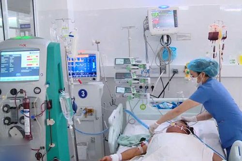 3 người trong một gia đình tử vong do ngộ độc nấm