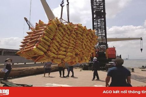 Khơi thông xuất khẩu gạo