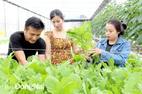 Để nguồn vốn tín dụng xanh phát huy hiệu quả