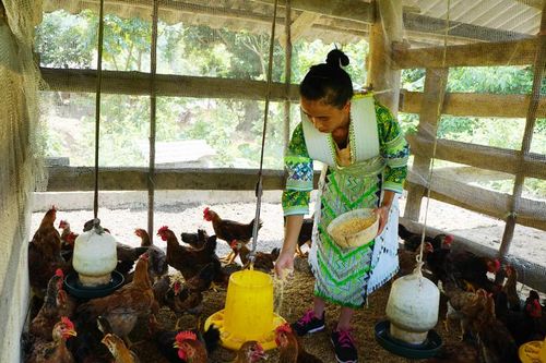 Nhân rộng các mô hình giảm nghèo bền vững