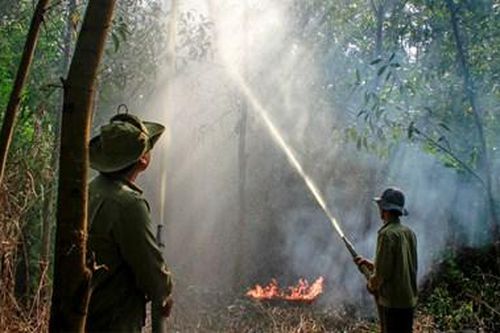 Cà Mau chủ động phòng, chống cháy rừng