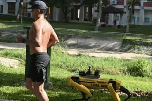 Singapore sử dụng robot tuần tra việc người dân giãn cách xã hội