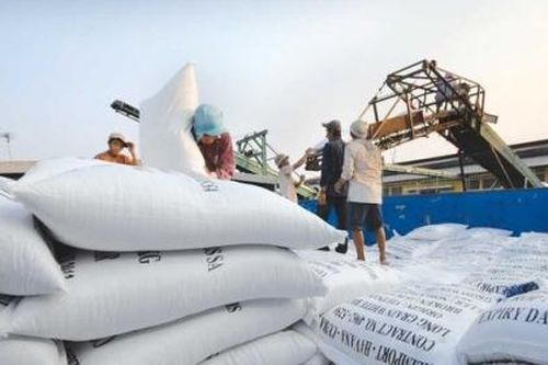 Philippines 'ráo riết' tìm nguồn nhập khẩu gạo