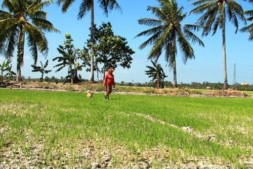 EU, Pháp hỗ trợ Việt Nam tăng cường khả năng chống chịu và quản lý nước, tài nguyên thiên nhiên