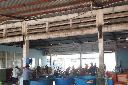 Bến Tre - Bàn giao mặt bằng thi công Công trình nạo vét Cảng cá Bình Đại