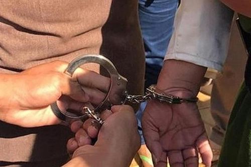 Nữ đại gia ngã ngửa vì bị cháu gái lừa ngoạn mục