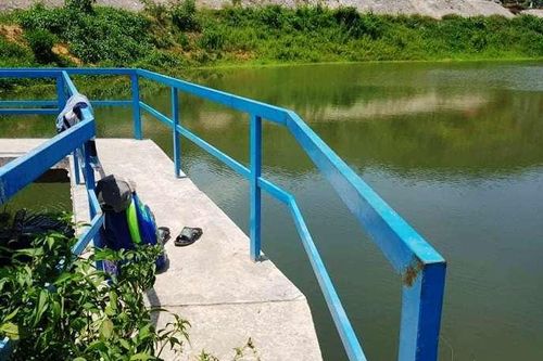 Tắm hồ sau khi tan trường, một học sinh lớp 2 chết đuối