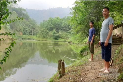 Bắc Kạn: Làm giàu từ mô hình 'nuôi cá trong rừng'
