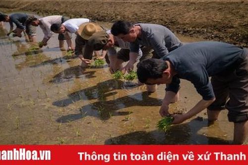 Báo Triều Tiên cáo buộc thế lực thù địch tìm cách 'bóp nghẹt kinh tế'