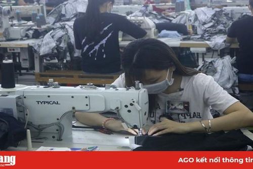Đẩy mạnh tuyên truyền Tháng hành động an toàn vệ sinh lao động