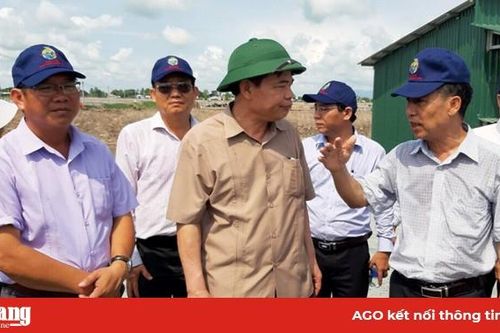 Ngành hàng cá tra còn nhiều việc phải làm