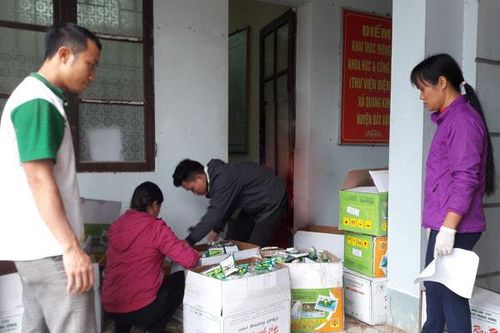 Hỗ trợ 21,2 tấn hạt giống cây nông nghiệp để người dân khắc phục hậu quả thiên tai
