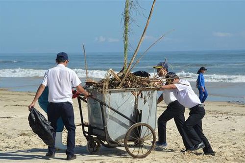 Cấp chủ trương đầu tư dự án Nhà máy xử lý rác thải sinh hoạt với công suất 100 tấn/ngày đêm