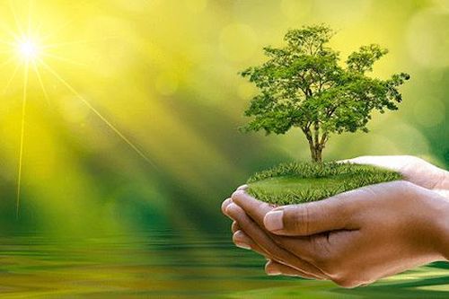 Sự phù hợp về mục tiêu giữa Chương Môi trường trong CPTPP và Chiến lược phát triển bền vững của Việt Nam