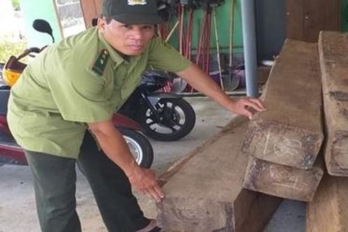 Liên tiếp phát hiện, bắt giữ ô tô chở gỗ lậu