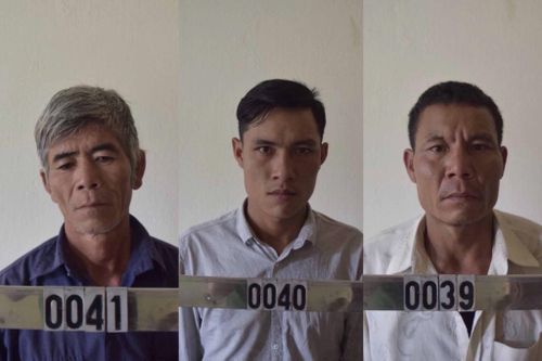 Khởi tố nhóm người khai thác gỗ trái phép ở Gia Lai