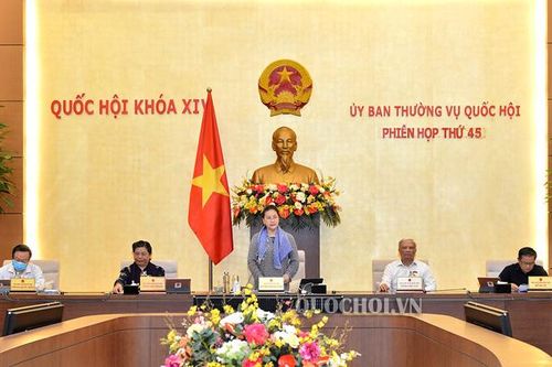 Toàn bộ kiến nghị của cử tri đã được trả lời thấu đáo, đầy đủ, đúng thời hạn