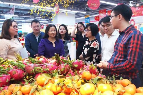 Ban Kinh tế - Ngân sách HĐND thành phố Hà Nội: Chủ động tham mưu hiệu quả