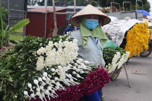 Để vùng hoa Mê Linh lại khoe sắc sau những ngày cách ly