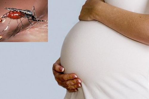 Phòng chống sốt rét cho phụ nữ mang thai ở khu vực châu Á - Thái Bình Dương