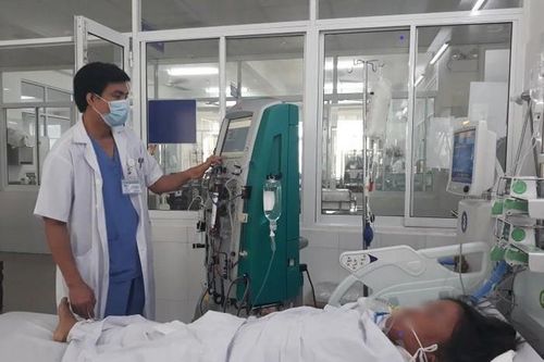 Tuyệt đối không ăn nấm mọc hoang dại