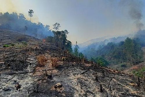 Điều tra nguyên nhân vụ cháy rừng ở xã Mà Cooih